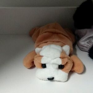 Ty dog named wrinkles